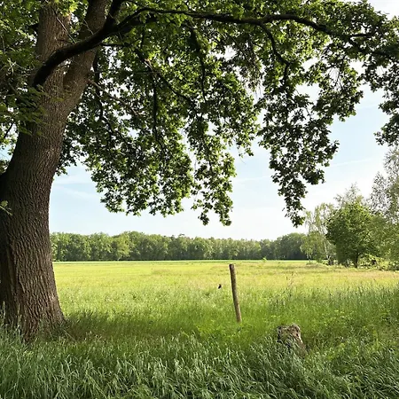 Mit Garten In Der Lueneburger Heide